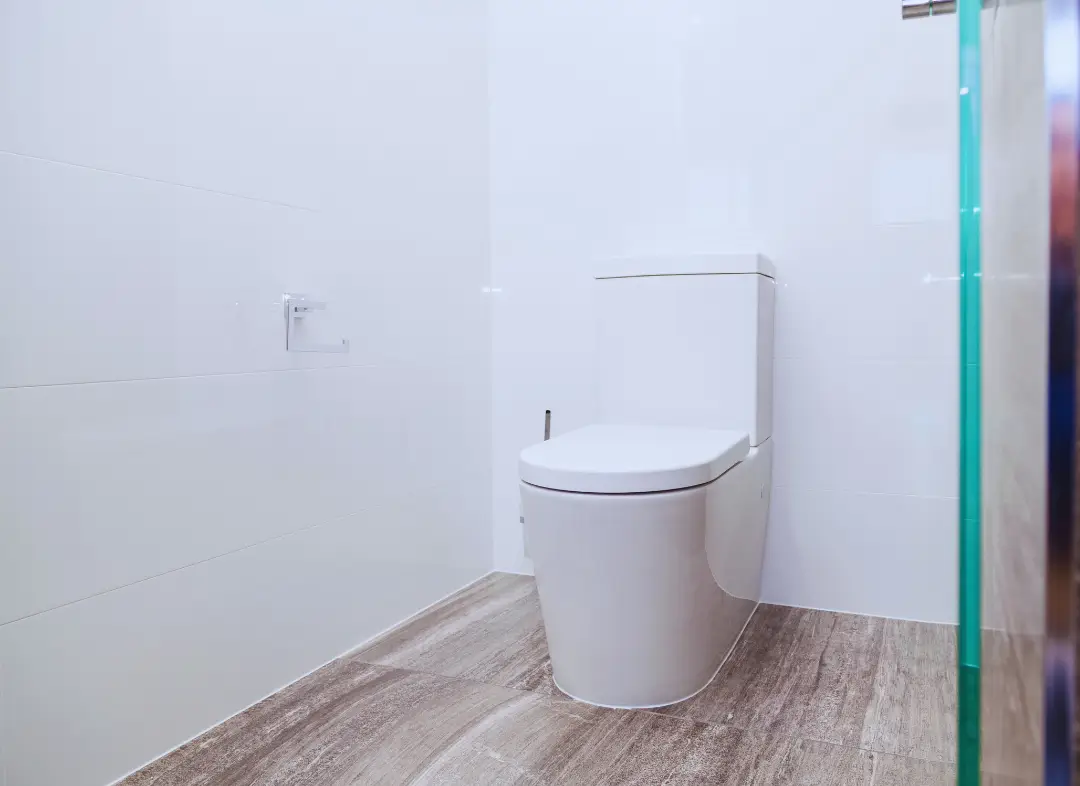 Remplacement de wc Marignier